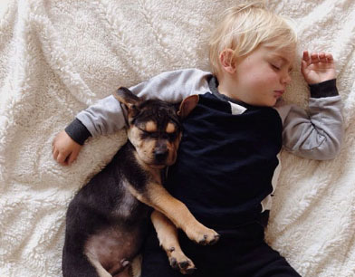 众生皆有灵性---狗是人类的好朋友(图组) 众生皆有灵性---狗是人类的好朋友(图组)