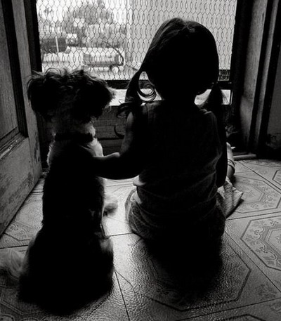 众生皆有灵性---狗是人类的好朋友(图组) 众生皆有灵性---狗是人类的好朋友(图组)