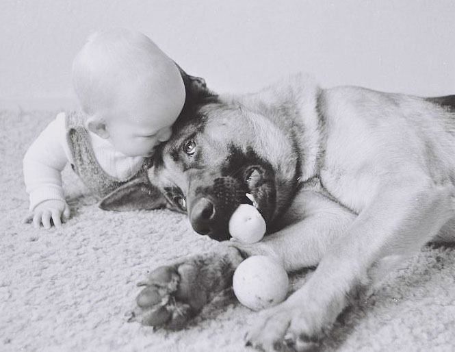 众生皆有灵性---狗是人类的好朋友(图组) 众生皆有灵性---狗是人类的好朋友(图组)