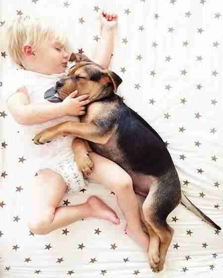 众生皆有灵性---狗是人类的好朋友(图组) 众生皆有灵性---狗是人类的好朋友(图组)