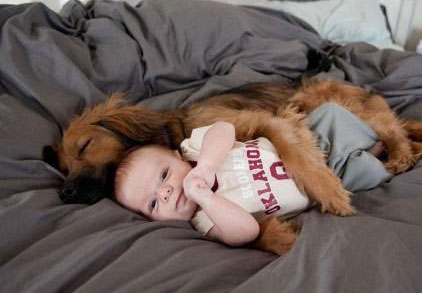 众生皆有灵性---狗是人类的好朋友(图组) 众生皆有灵性---狗是人类的好朋友(图组)