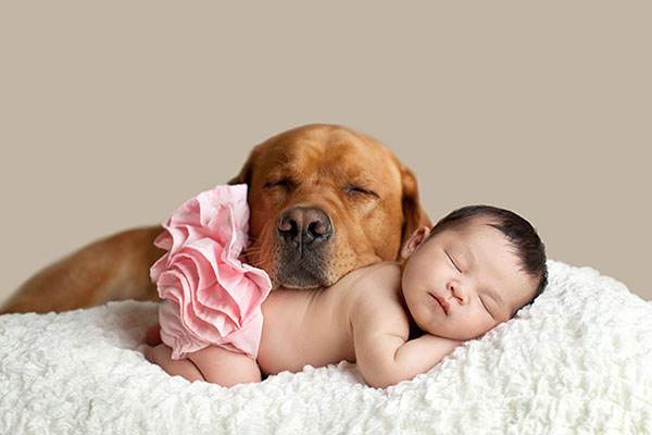 众生皆有灵性---狗是人类的好朋友(图组) 众生皆有灵性---狗是人类的好朋友(图组)