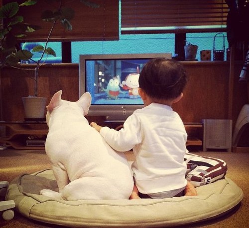 众生皆有灵性---狗是人类的好朋友(图组) 众生皆有灵性---狗是人类的好朋友(图组)