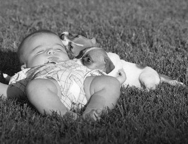 众生皆有灵性---狗是人类的好朋友(图组) 众生皆有灵性---狗是人类的好朋友(图组)