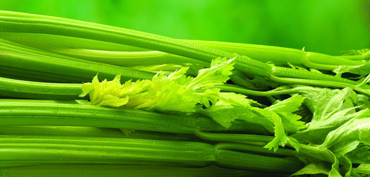 �ؽ�����������