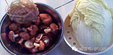 �ؽ�����������