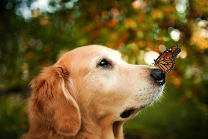 ��һ����أ�����Ϊʲô���أ�����һλ�����̵ĶԻ�