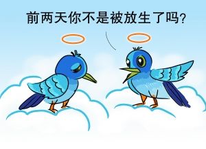 “放生”技术哪家强?还看台湾和尚如何放生 “放生”技术哪家强?还看台湾和尚如何放生