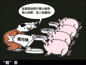 轰动美国的营养报告_吃肉无异于吃毒 轰动美国的营养报告_吃肉无异于吃毒