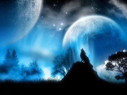 众生皆有灵性_一只狼报恩的真实故事 众生皆有灵性_一只狼报恩的真实故事