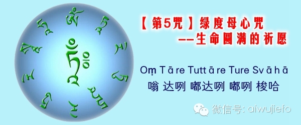 ��������롿��ôѡ����������һ������