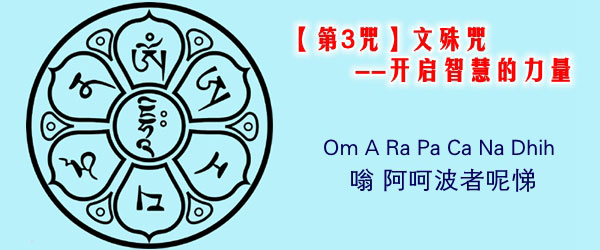 ��������롿��ôѡ����������һ������