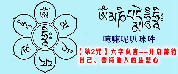 ��������롿��ôѡ����������һ������