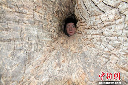 �����������𡱷�������÷ŵ����������˷�����˼