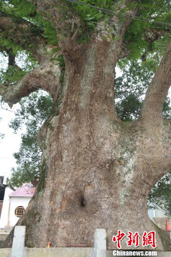 �����������𡱷�������÷ŵ����������˷�����˼