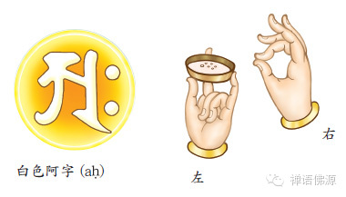 ����:����ʩʳ�ط�