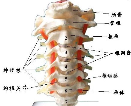 35�����Ӵ���һ��������˥�ϳ�70����ͷ������Ů�˴���ҪС�İ�������