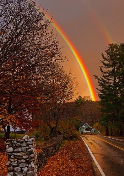 当今学佛,当心遇到转基因式的老师和学生 当今学佛,当心遇到转基因式的老师和学生