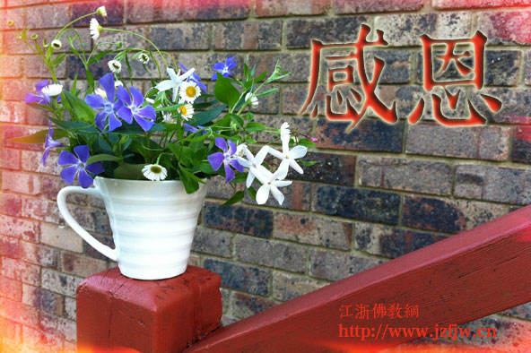 �ж���ף��