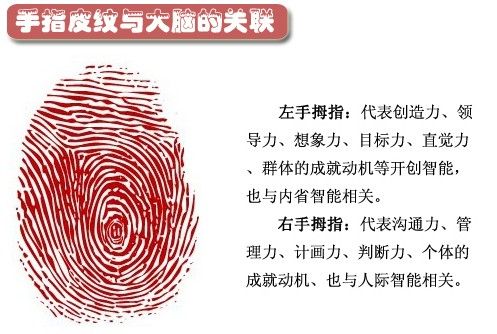 ��ָƤ��������й���_��ʾһ������