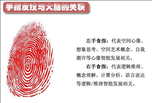 ��ָƤ��������й���_��ʾһ������