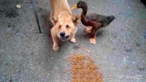 С������ȥ�۾�������̵��·����ˡ���