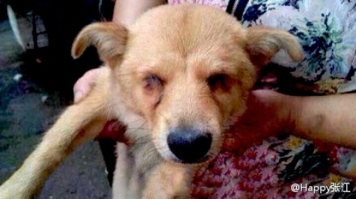 С������ȥ�۾�������̵��·����ˡ���