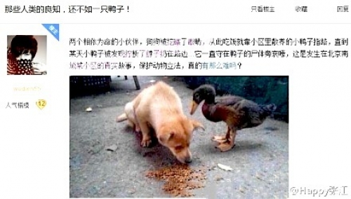 С������ȥ�۾�������̵��·����ˡ���