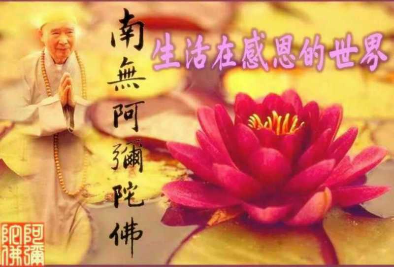 ���˷�ʦ������������������̣�����