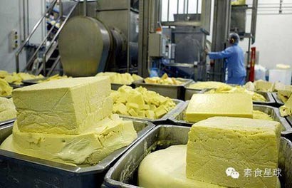 ������ʳ������α��ʳ_8������Ϊ����ʳ��ʵ�ʲ��ǵ�ʳ��