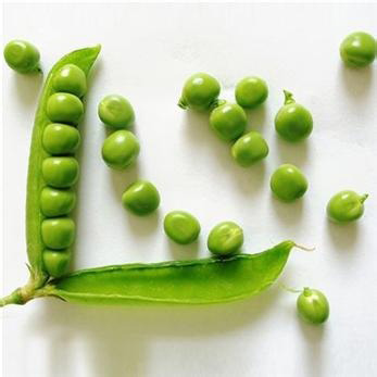 7����ʳ����������⡱_���䵰��������