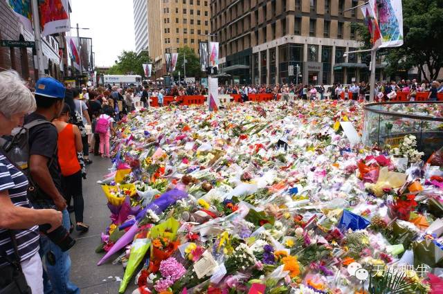 Ϥ���Ϯ֮��Σ��ʱ������һ������ĸ߶�_��