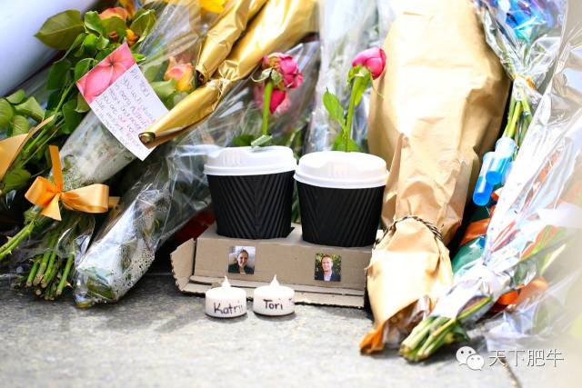 Ϥ���Ϯ֮��Σ��ʱ������һ������ĸ߶�_��