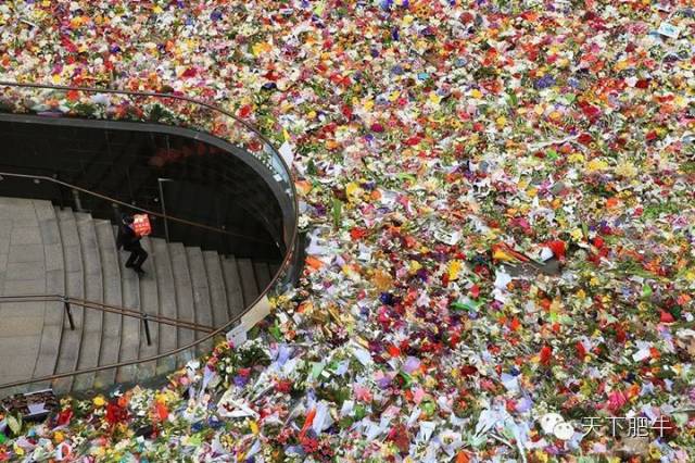 Ϥ���Ϯ֮��Σ��ʱ������һ������ĸ߶�_��