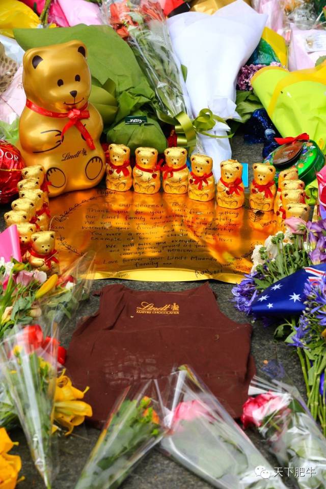 Ϥ���Ϯ֮��Σ��ʱ������һ������ĸ߶�_��