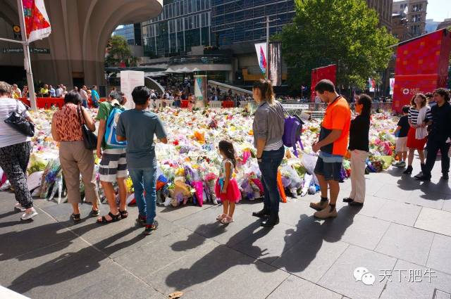 Ϥ���Ϯ֮��Σ��ʱ������һ������ĸ߶�_��