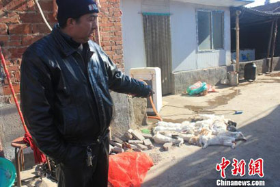 ������ʿ���ȹ�����ս����������_300��Ȯ¶�찧��