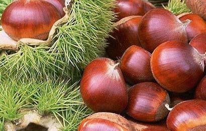 ��������_�����е�ʱ����������ʳ