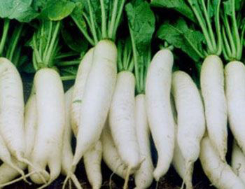 ��������_�����е�ʱ����������ʳ