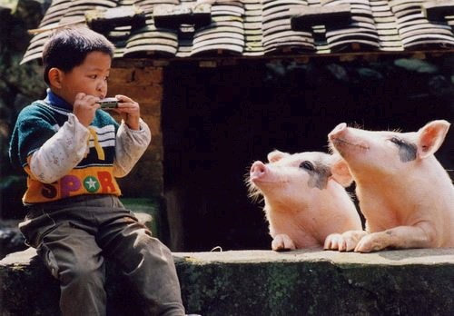 这些名言都是有后半句的 这些名言都是有后半句的