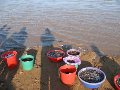 ��̷�����ȱ��ĵ�����