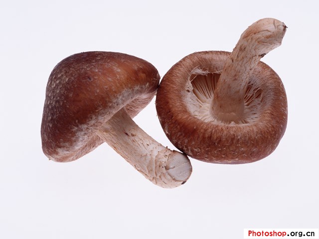 ����֮�⣺�㹽