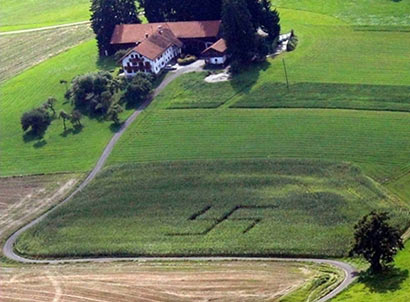 ����ϣ���ա��e�����̡��d��������