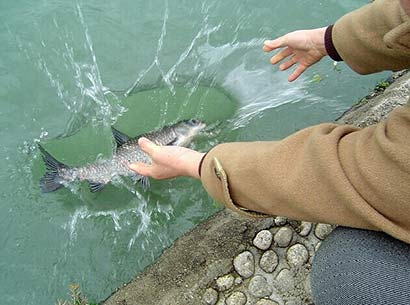 �������˷�����ʮ������澭��