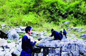 黑叶猴一家下山吃晚餐 黑叶猴一家下山吃晚餐
