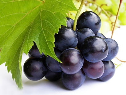 素食中的补血之王 素食中的补血之王