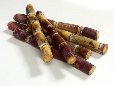 素食中的补血之王 素食中的补血之王