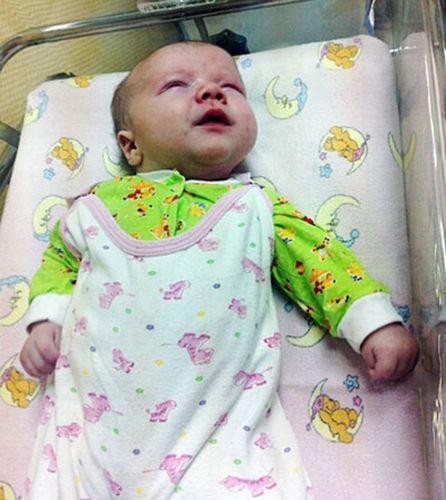 流浪猫寒冬用身体温暖弃婴救其命 获赞英雄(图)