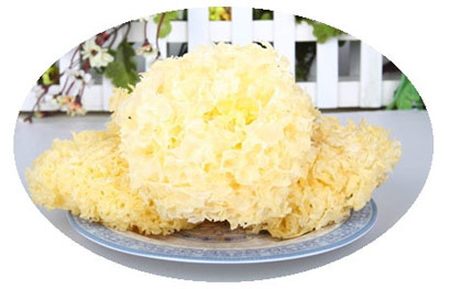 ʷ�����10����ʳ_�����ڳ���