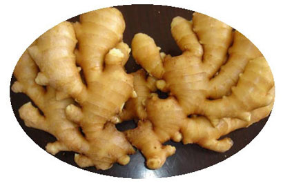 ʷ�����10����ʳ_�����ڳ���